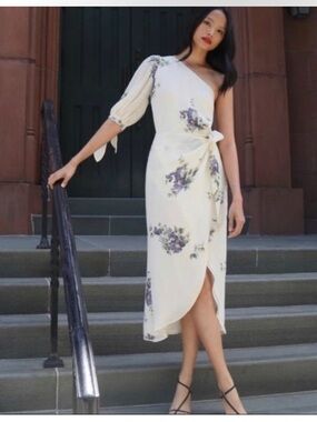Reformation Rainey Dress in Macadamia Floral Print 4 Damaged